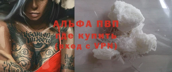 эйфоретик Вяземский
