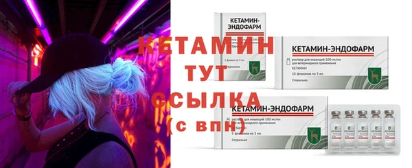 эйфоретик Вяземский