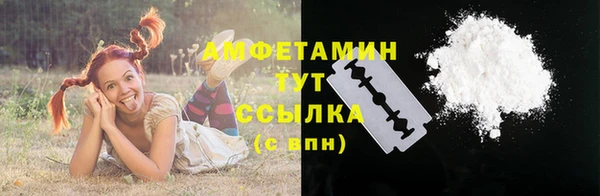 эйфоретик Вяземский