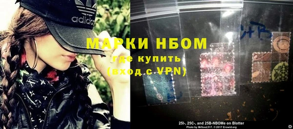эйфоретик Вяземский