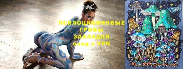 эйфоретик Вяземский