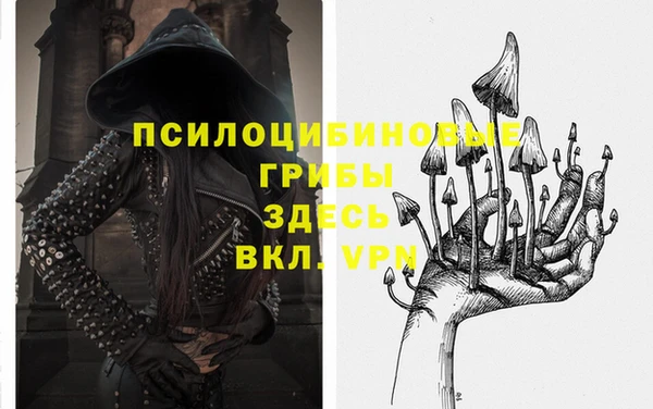 mdpv Вязники