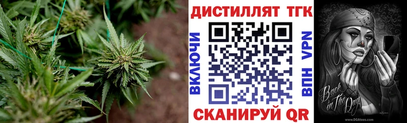 ТГК THC oil  хочу   Елец 