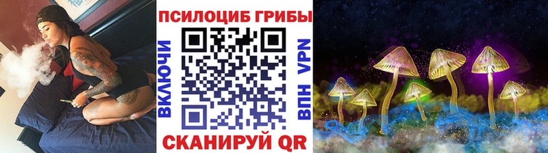 как найти наркотики  Елец  Псилоцибиновые грибы мухоморы 