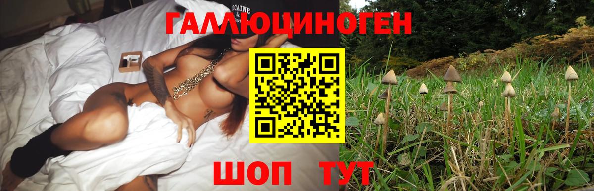 МАРИХУАНА  АМФ кристаллы  Меф МЯУ МЯУ   Кокаин  ГАШ  Елец  LSD-25  A-PVP СК кристаллы  Вход с VPN 