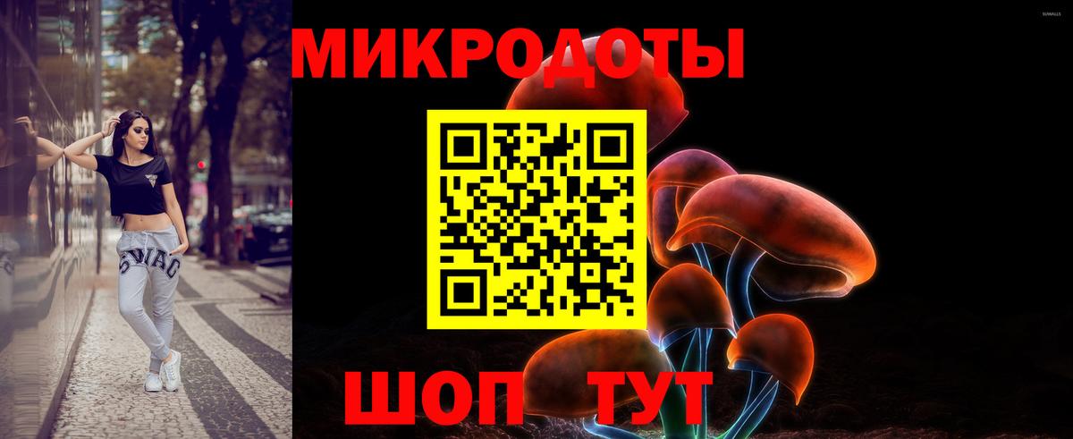 Галлюциногенные грибы GOLDEN TEACHER  Вход с VPN  Псилоцибиновые грибы GOLDEN TEACHER  Елец 